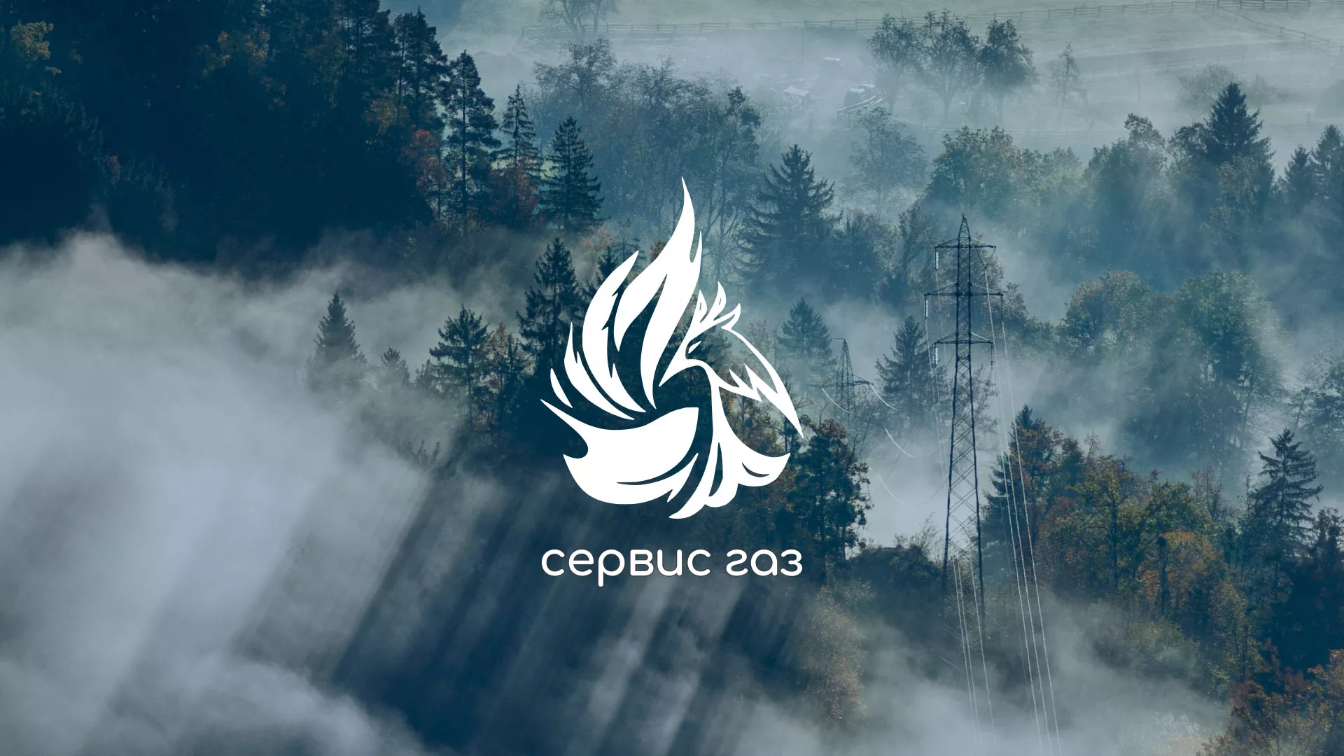 Создание сайта компании «Сервис газ» в Полесске