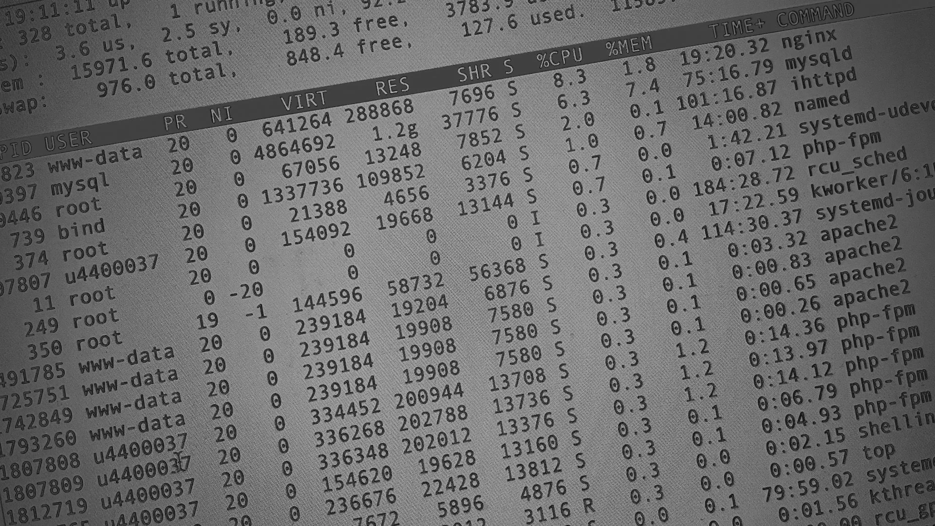 Настройка сервера в Полесске