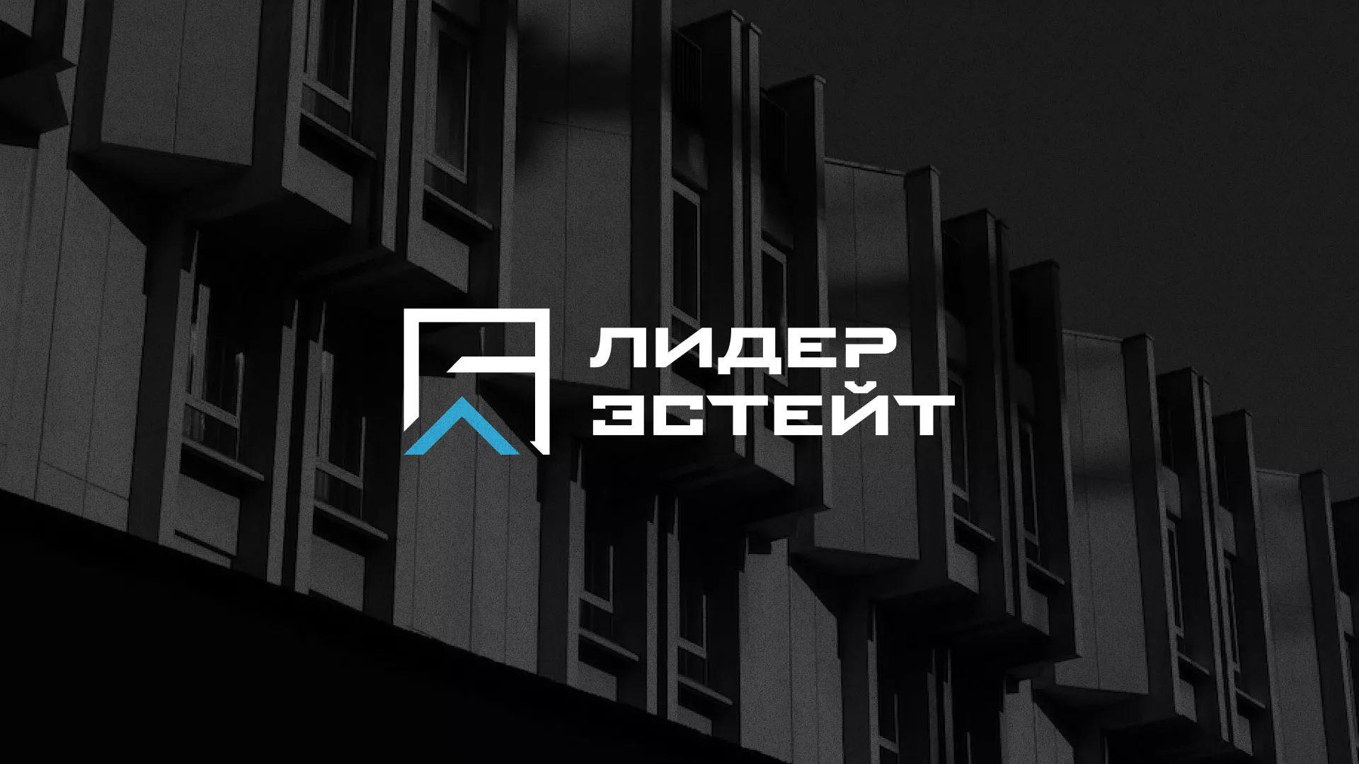 Разработка логотипа агентства недвижимости «Лидер Эстейт» в Полесске