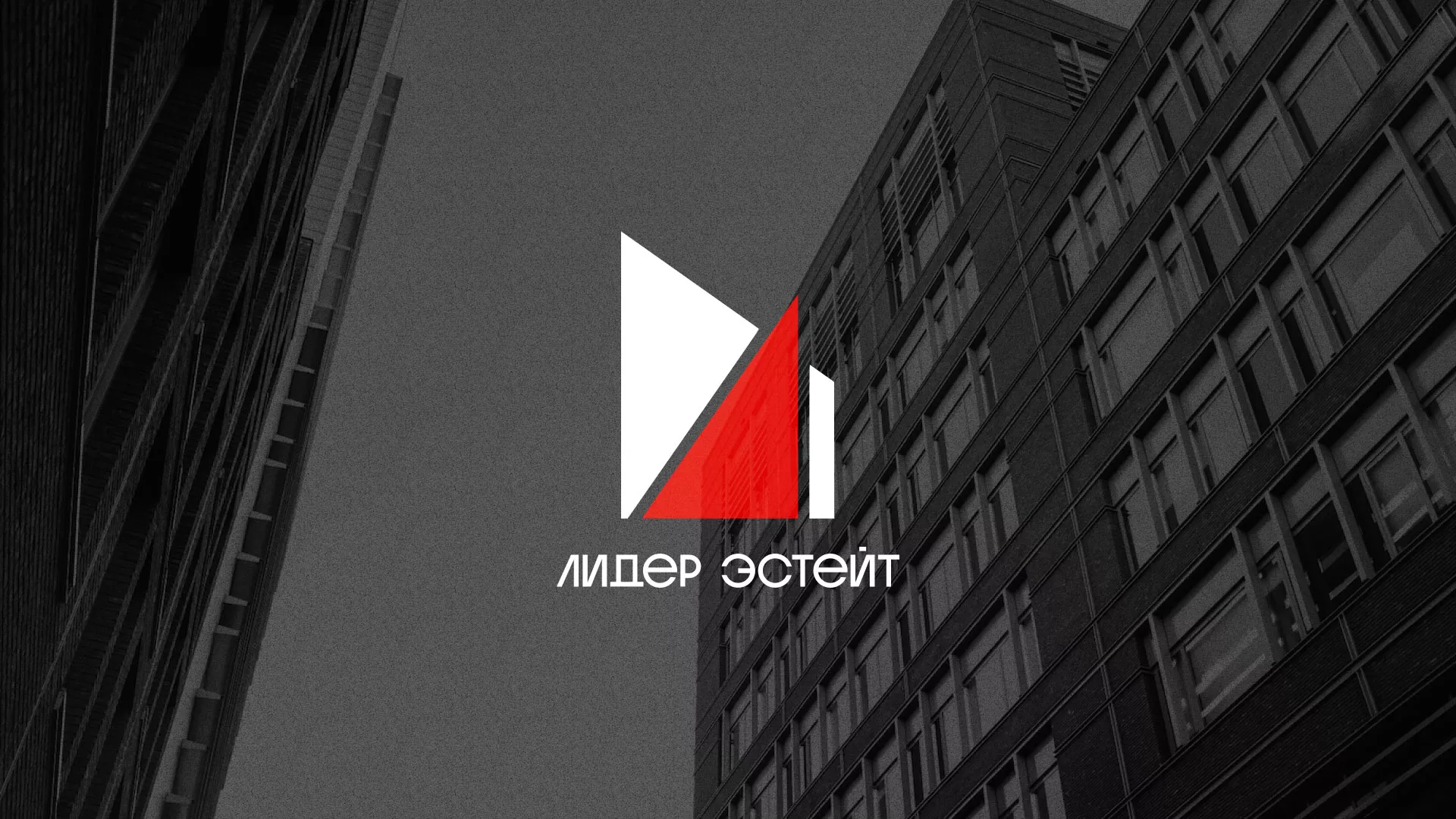 Сделали логотип для агентства недвижимости «Лидер Эстейт» в Полесске